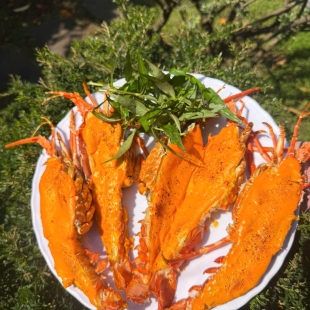 Tôm nướng phô mai